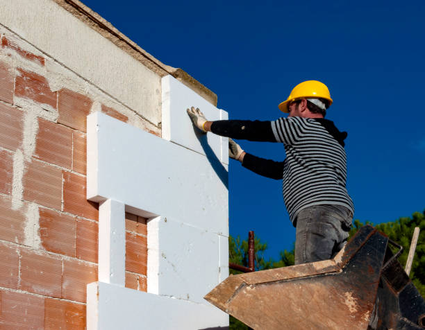 Best Residential Insulation in Bellevue, IL