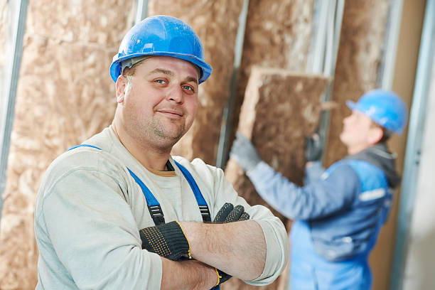 Best Blown-in Insulation in Bellevue, IL