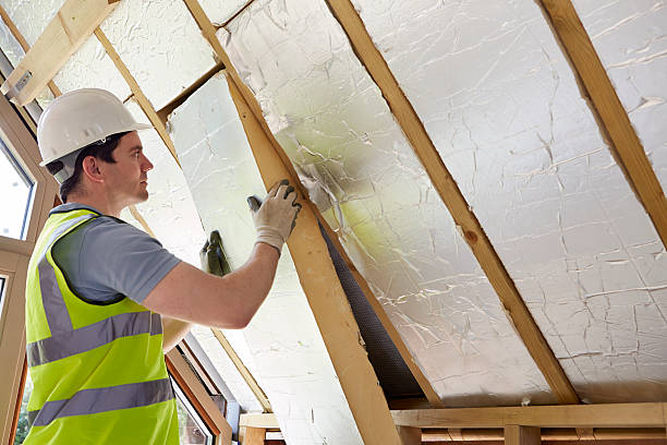 Best Commercial Insulation in Bellevue, IL