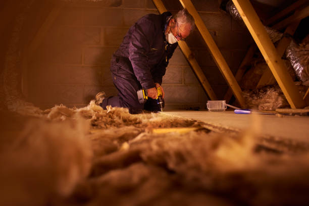 Best DIY Insulation Kits and Guidance in Bellevue, IL